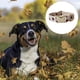 thumbnail image 3 of Juego de cuello de bufanda y cinturón El collar ajustable es adecuado para el entrenamiento diario de perros al aire libre para caminar y correr Namotu CPB-US-YY689-2, 3 of 5
