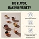thumbnail image 5 of Caja de 100 Bolsitas Freshpack de Té Earl Grey Flavia, 5 of 6