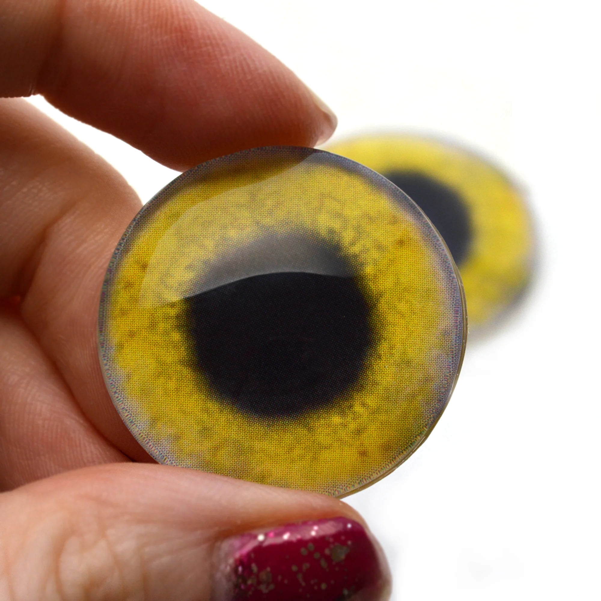 Yellow Osprey Glass Bird Eyes