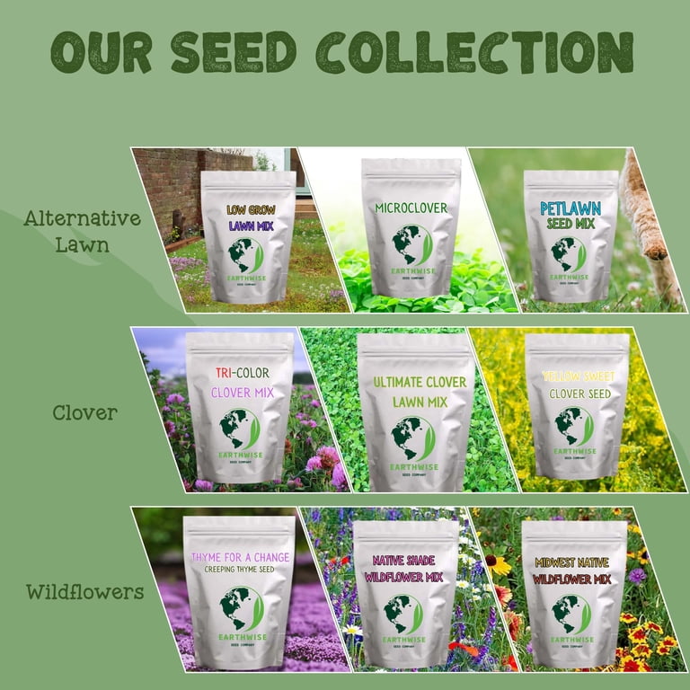 Earthwise Low Grow Alternative Lawn Mix, No Mow Grass Seed, 1/2 lb, Covers 200 sq. ft. Bare or 500 sq. ft. Overseed
