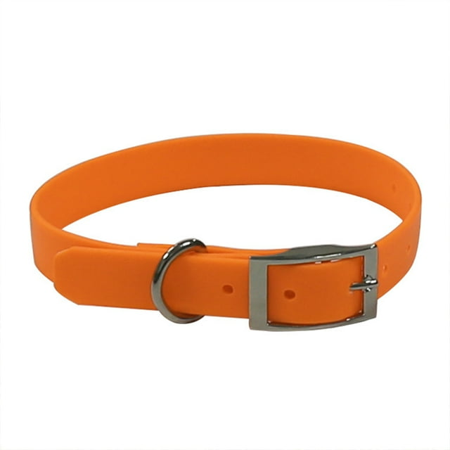 Collier pour Chien Imperméable avec Anneau Central Robuste