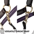 thumbnail image 5 of Schneiders Double Stitch Contrast Color Padded Leather Horses Halter | Brown Royal | Oversize, 5 of 7