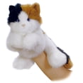 thumbnail image 1 of Aurora Peluches--corps-Esmeralda (Chat) 11 Pouces, 1 of 2