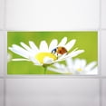 thumbnail image 6 of Octo Lights - Fluorescent Light Covers - 2x4 Flexible Ceiling Light Filters - For Classrooms and Offices - Flower 002, 6 of 6
