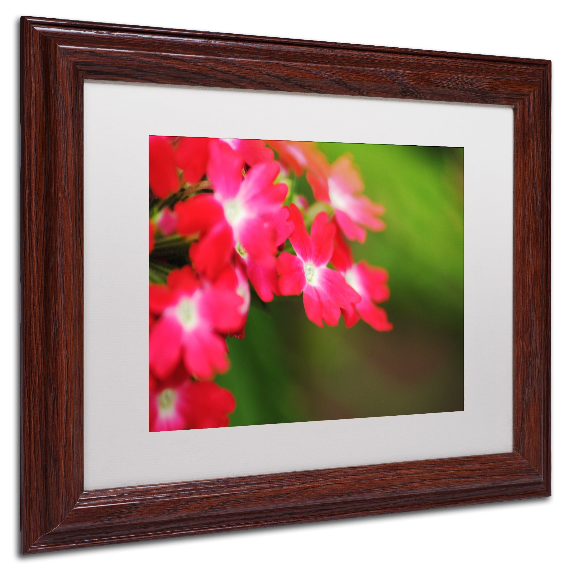 Trademark Fine Art "Paired Ornament" Canvas Art by Monica Mize, White Matte, Wood Frame