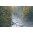 thumbnail image 2 of Jaynes Gallery 24x17 Gold Ornate Wood Framed with Double Matting Museum Art Print Titled - USA-West Virginia-Davis Foggy stream in Blackwater State Park, 2 of 4