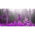 thumbnail image 2 of Palacios, J.A. 24x14 Black Ornate Wood Framed with Double Matting Museum Art Print Titled - Lilac forest 810, 2 of 4