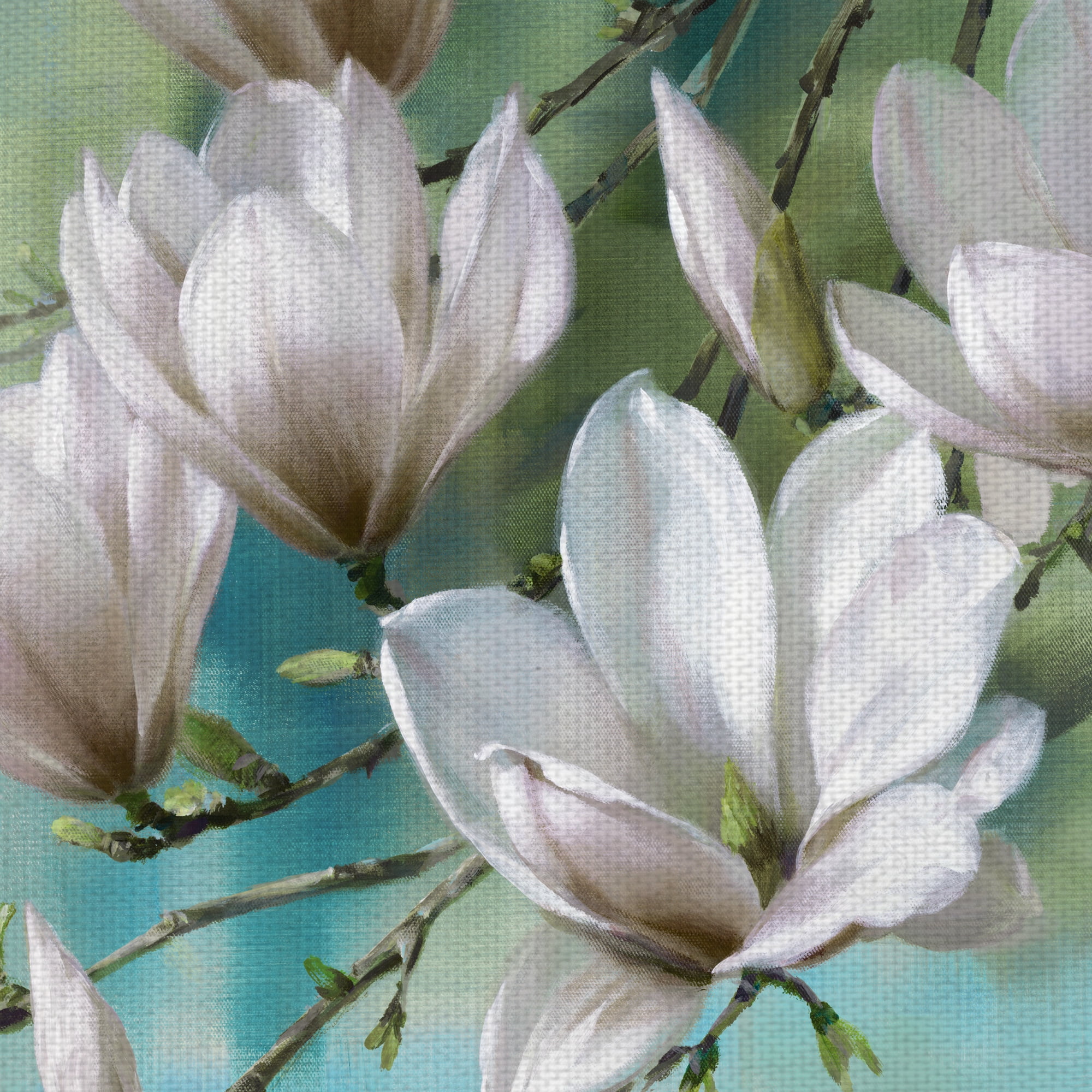 Masterpiece Art Gallery Magnolia Morning Teal by Roger Daniels Canvas Art Print 22" x 28"