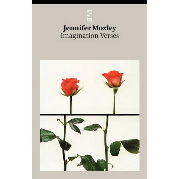 Imagination Verses (Paperback)