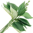 thumbnail image 1 of ADDHAT 10Jgo Artificiales Con Hojas Para Adornos Y Ramilletes Decorativos, 1 of 8