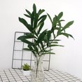 thumbnail image 1 of BRIGHTFUFU 3Ud Ramas Artificiales De Para De Flores Y Hogar En Color Verde, 1 of 7