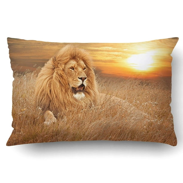 BPBOP Picture Of Lions In Grass Pillowcase Pillow Cushion Cover 20x30