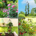 thumbnail image 6 of BAYUELSWU Garden Obelisk Trellis for Climbing Plants Outdoor, 6.2 FT Garden Obelisk Trellis Lightweight Tall Tower Trellis Stand Support for Vines Clematiss Rose Potted Plants, 6 of 8