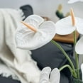 thumbnail image 7 of Artificial Anthurium Flower 17.7 Inch – Real Touch Faux Stems for Home Décor, Wedding Centerpieces, Party Decorations, Bathroom Decor, 7 of 7