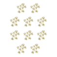 thumbnail image 1 of Kearding 12 piezas de flores secas para manualidades, adornos de maquillaje, flores prensadas, manualidades Type2 NO2, 1 of 6