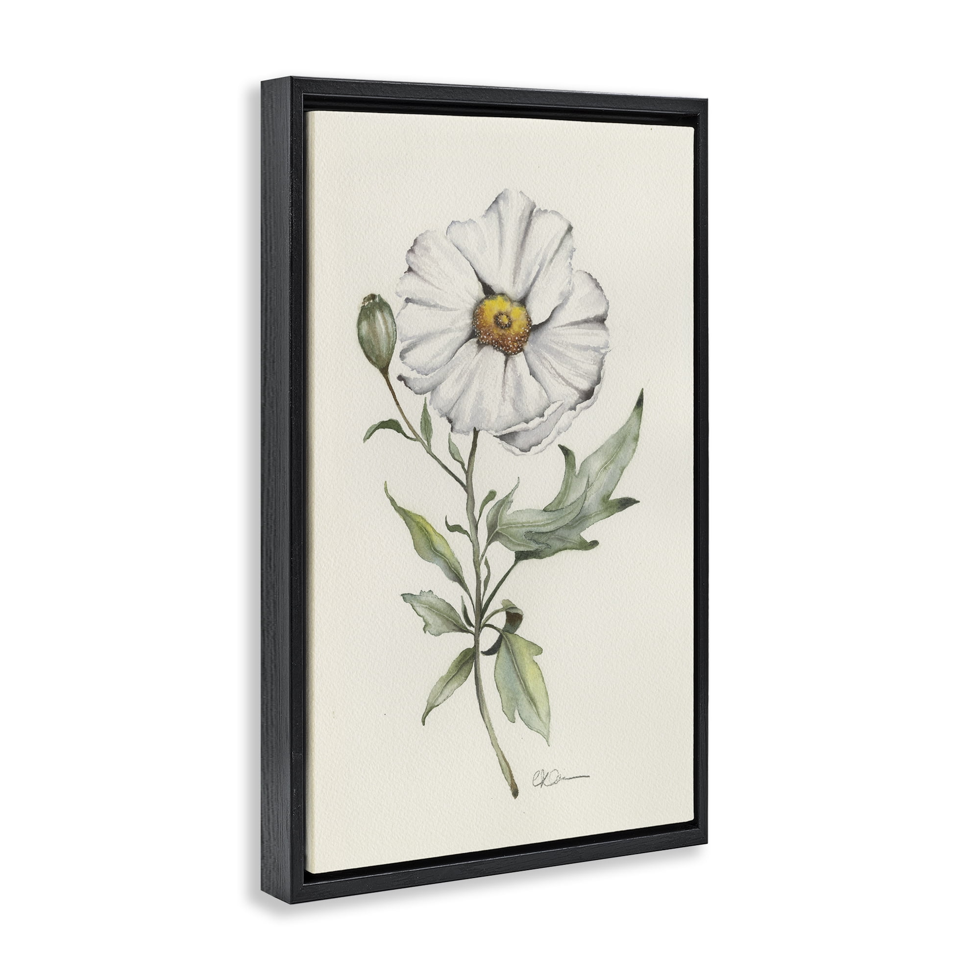 Stupell Industries Natural Wild Blossom Sprig Black Framed Floater Canvas Wall Art, design by Cady Driver
