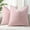 Blush Pink, variant on Couch Throw Pillow Covers 18x18 Set of 2, Decorative Soft Euro Neutral Chenille Pillow Covers with Elegant Design for Sofa Bed Living Room Home Decor, Beige