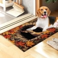 thumbnail image 6 of Tuvgenk Bathroom Rugs Non Slip Quick Dry Absorbent Bath Mat 1'X2' Small Rectangle Burnt Orange Shower Mat, 6 of 6
