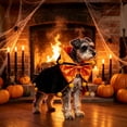 thumbnail image 7 of Halloween Pet Cute Festival Cos Clothing for Dogs and Cats Light Soft Cozy Holiday Dress Up Outfit Adjustable Size Pet Party Photo Prop Trick, 7 of 7