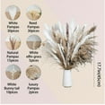 thumbnail image 3 of Lomyolo 92PCS Natural Dried Pampas Grass Bouquet,Boho Home Decor Bouquet, Phragmites Dried Flowers,Bouquet for Wedding Floral Arrangements Home Decorations, 3 of 7