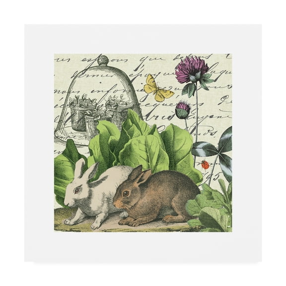 Trademark Fine Art 'Garden Rabbit II' Canvas Art by Wild Apple Portfolio