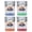 Multicolor (4-Pack), variant on New York City, New York Design B Souvenir 2 oz Square Shot Glass Green