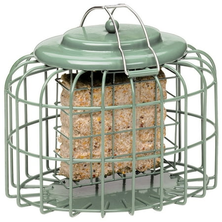 The Nuttery Oval Suet Cake Squirrel Resistant Bird Feeder Ocean