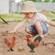 thumbnail image 4 of Figuras de animales de granja Sunnimix Animales realistas Modelo Juguetes Miniatura Aves de corral Pollo, 4 of 7