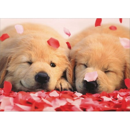 Golden Retriever Stationery - Avanti Press 2 Puppies with Rose Petals Golden Labrador Retriever Valentine's Day Card
