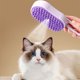 thumbnail image 1 of Pet Spray Massage Comb One Touching Spray Pet Groomer Defluffing Massage Bath Grooming, 1 of 9