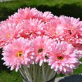 thumbnail image 6 of Walbest 1 Pc 19 7 Inches Artificial Flower Gerbera with Stem Silk Flower Arrangement for Home Garden Party Wedding Greenery Fireplace Table Centerpieces Flower Diameter 4", 6 of 7