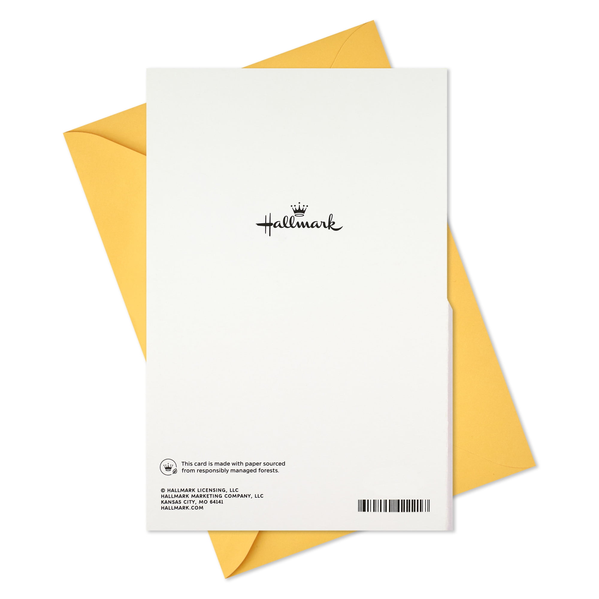 Hallmark Birthday Card for Wife (Stunning In Every Way)