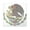 Clear, variant on CafePress - Mexico Eagle Oval Sticker - Square Sticker 3" x 3"