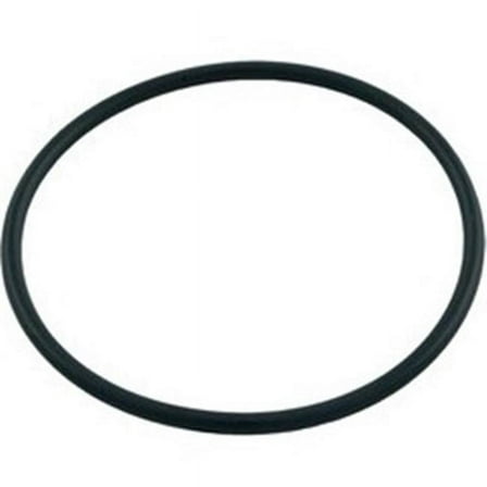 Pentair Sta-Rite 35505-1246 O-Ring for Plastic Slide Valve