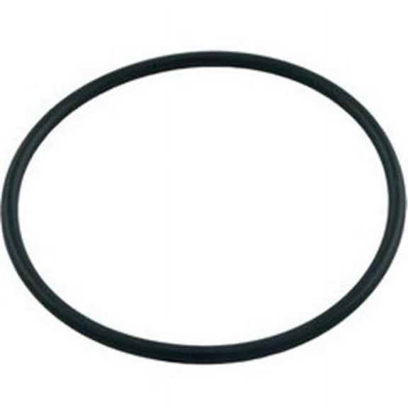 Pentair Sta-Rite 35505-1246 O-Ring for Plastic Slide Valve