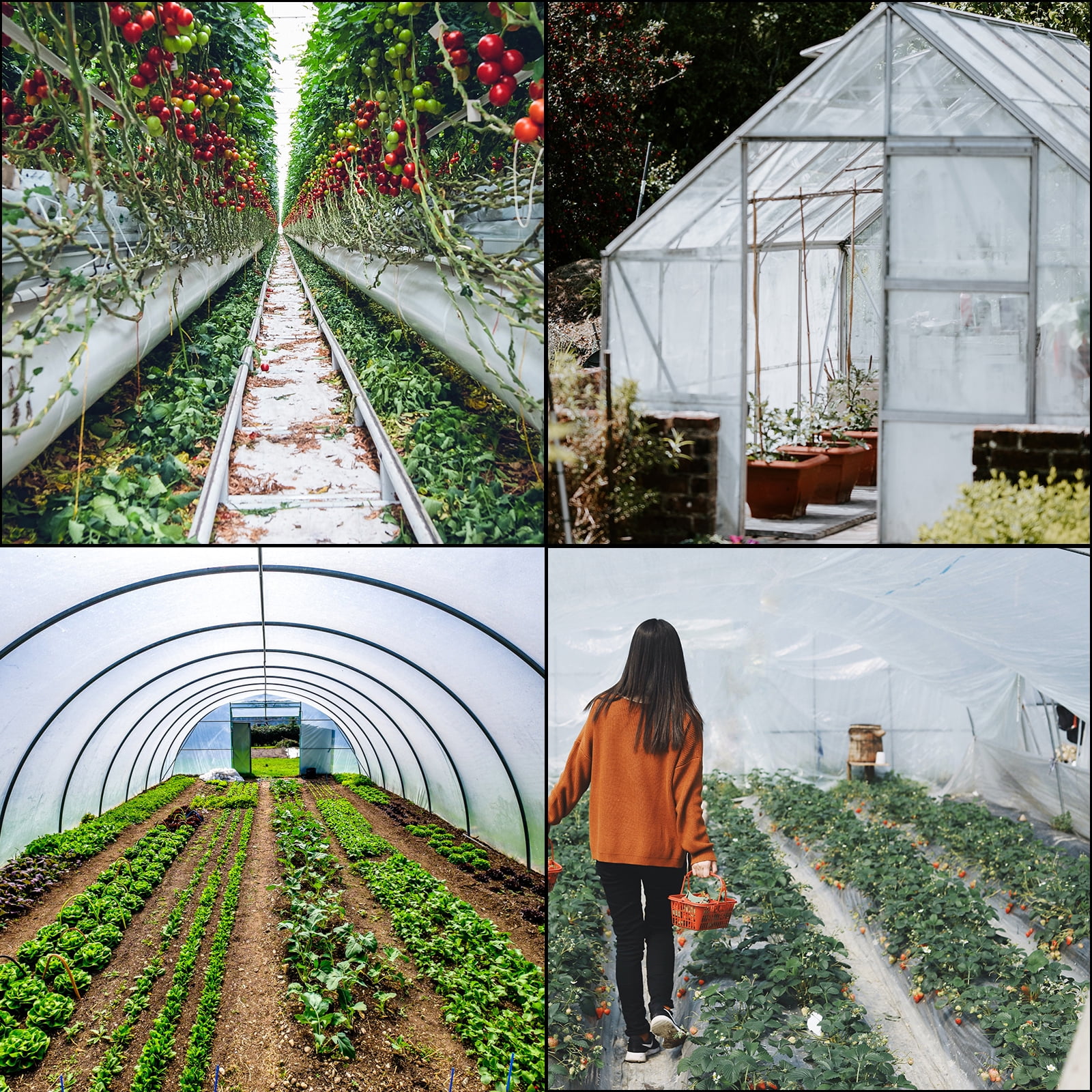 KFFKFF Greenhouse Film 16 x 25 Feet, Greenhouse Polyethylene Film 6 Mil Thick, Greenhouse Plastic Clear Plastic Film UV Resistant, Polyethylene Film for Warmth, Superior Strength and Toughness