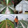 thumbnail image 3 of KFFKFF Greenhouse Film 16 x 25 Feet, Greenhouse Polyethylene Film 6 Mil Thick, Greenhouse Plastic Clear Plastic Film UV Resistant, Polyethylene Film for Warmth, Superior Strength and Toughness, 3 of 9