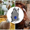 thumbnail image 3 of Goat AntiReproduction Apron – Apron to Prevent Sheep Mating Breeding Tool for Prevention, Access to Breeding – Animal Accessories in Blue, 3 of 5