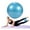 Blue, variant on GOGO Exercise Ball for Physical Therapy, Gray Pilates Ball 9 Inch Mini Yoga Balls for Stability Balance Barre Core Stretching