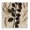 Southwestern Rustic Botanical, variant on Stupell Industries Coastal Natural Round Coral Canvas Art, 17 x 17, by Caroline Kelly