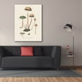 thumbnail image 3 of Epic Graffiti 'Agaricus Semiglobatus'  by Art Licensing Studio Canvas Wall Art, 40" x 54", 3 of 8