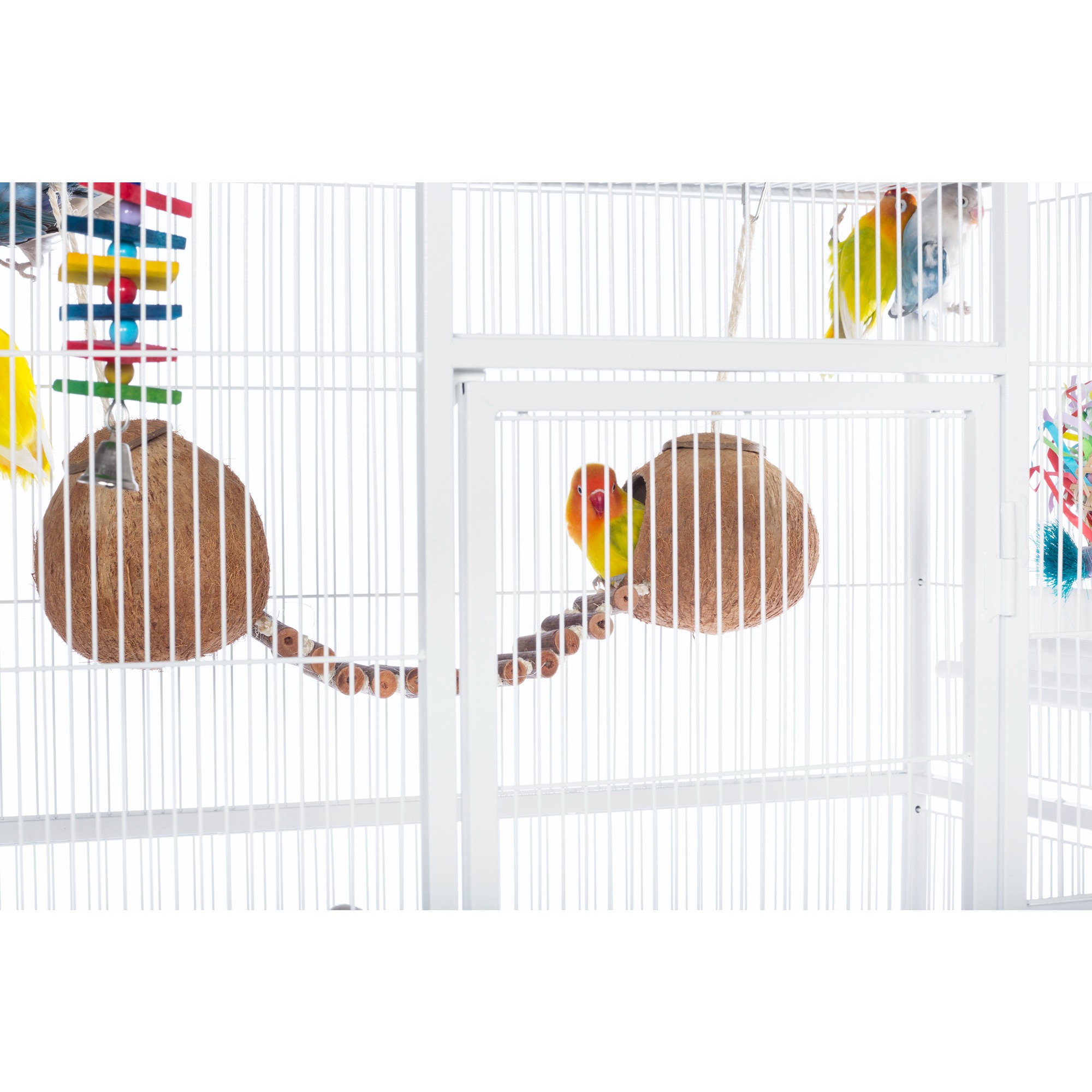 Prevue Pet Products Naturals Double Coconut with Ladder Bird Toy 62818