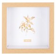 thumbnail image 1 of MasteelfCA 1Pc Desktop Photo Display Tool Creative Photo Frame Office Picture Frame, 1 of 8