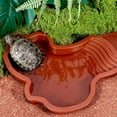 thumbnail image 2 of Turtle Bath Tub for Reptiles and Amphibians, Removable Spa Pool with Ladder, Brown Red Color for Pet Swimming and Cleaning, 2 of 3