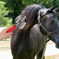 thumbnail image 3 of COMPUKAS 2Pcs Horse Hair Comb Plastic Random Color for Farm Animal Grooming, 3 of 8