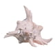 thumbnail image 2 of Decoración de acuario con forma de caracol, adorno para acuario, regalo, concha marina decorativa 9 a 11 cm, 2 of 8