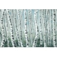 thumbnail image 2 of Parvez Taj "Skinny Tree Trunks II" Painting Print on Wrapped Canvas, 2 of 7
