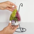 thumbnail image 6 of Creations by Nathalie - 7" Teardrop Glass Succulent Terrarium Kit for Kids and Adults, Reindeer Moss, Crystal & Rocks, Tools, Figurine, Metal Hanger (Live Plant Included), 6 of 7