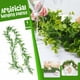 thumbnail image 1 of Guirnalda Artificial Ganfancp para Fake Eucalipto Decoración de la Pared 1 Pack, 1 of 7