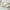 2: White, variant on Churanty Full Size Upholstered Bed with Adjustable Trundle, Full Platform Bed with Padded Headboard for Bedroom, Twin Trundle can be Flat or Erected, Beige